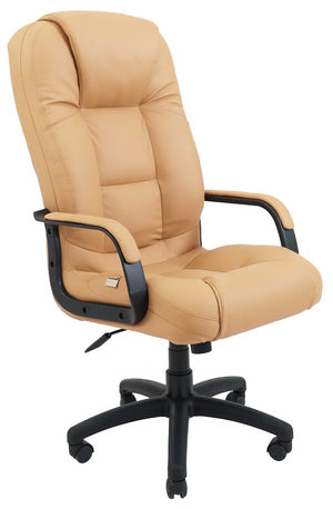 Офісне крісло Севілья Пластик Річ М-1